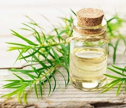 tea-tree_neem