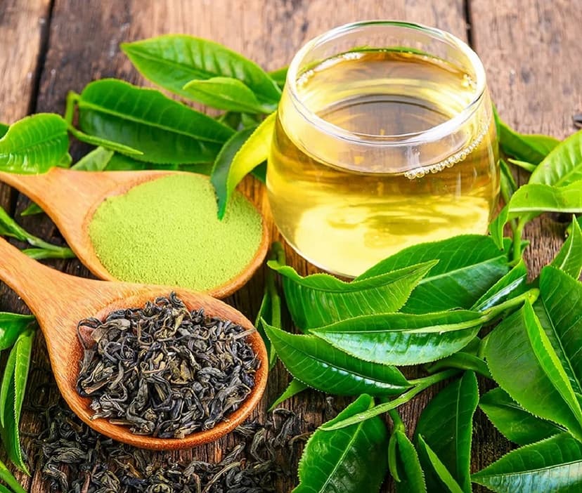 Green-Tea-Extract